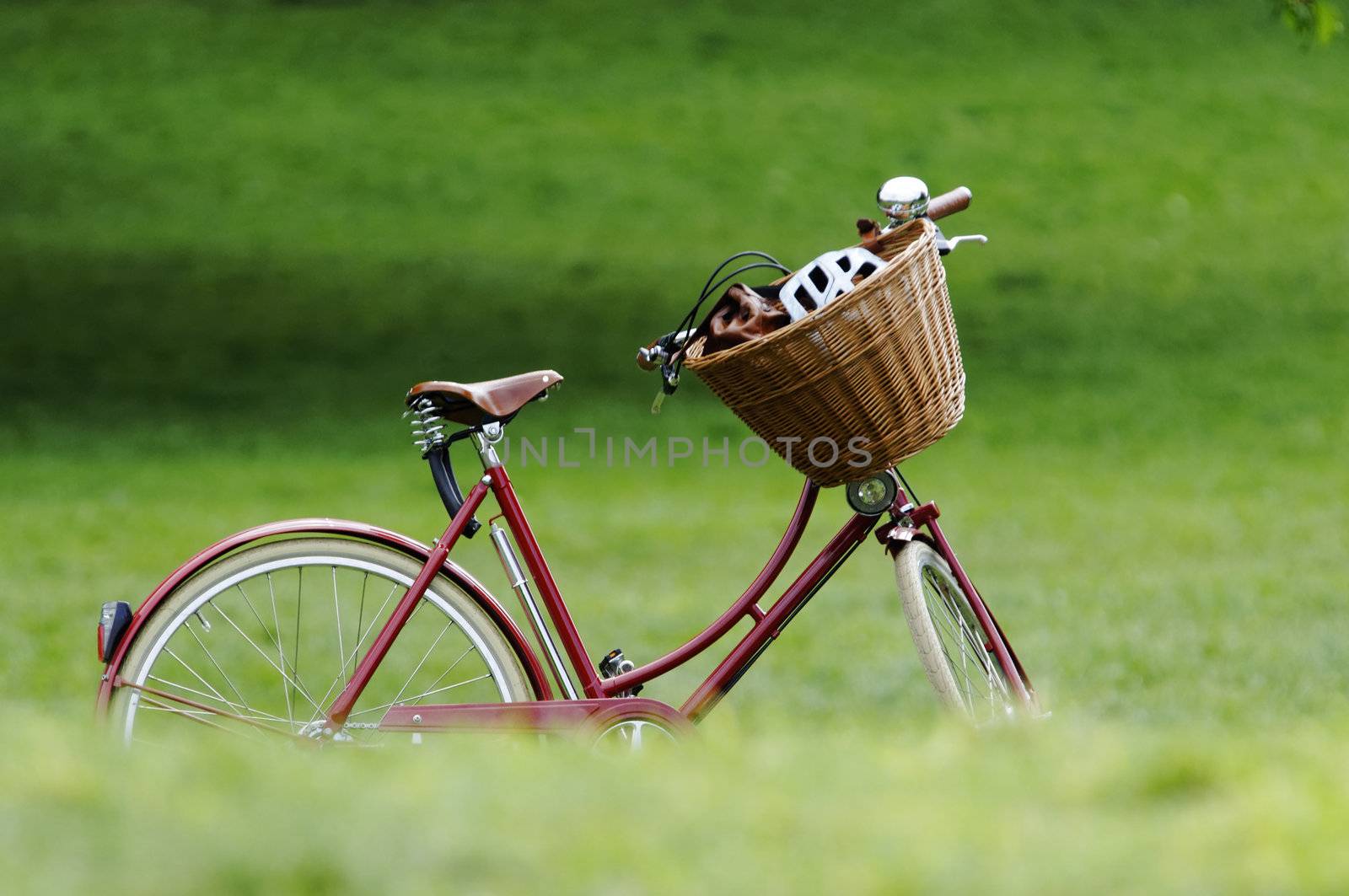 A red bicycle in a park