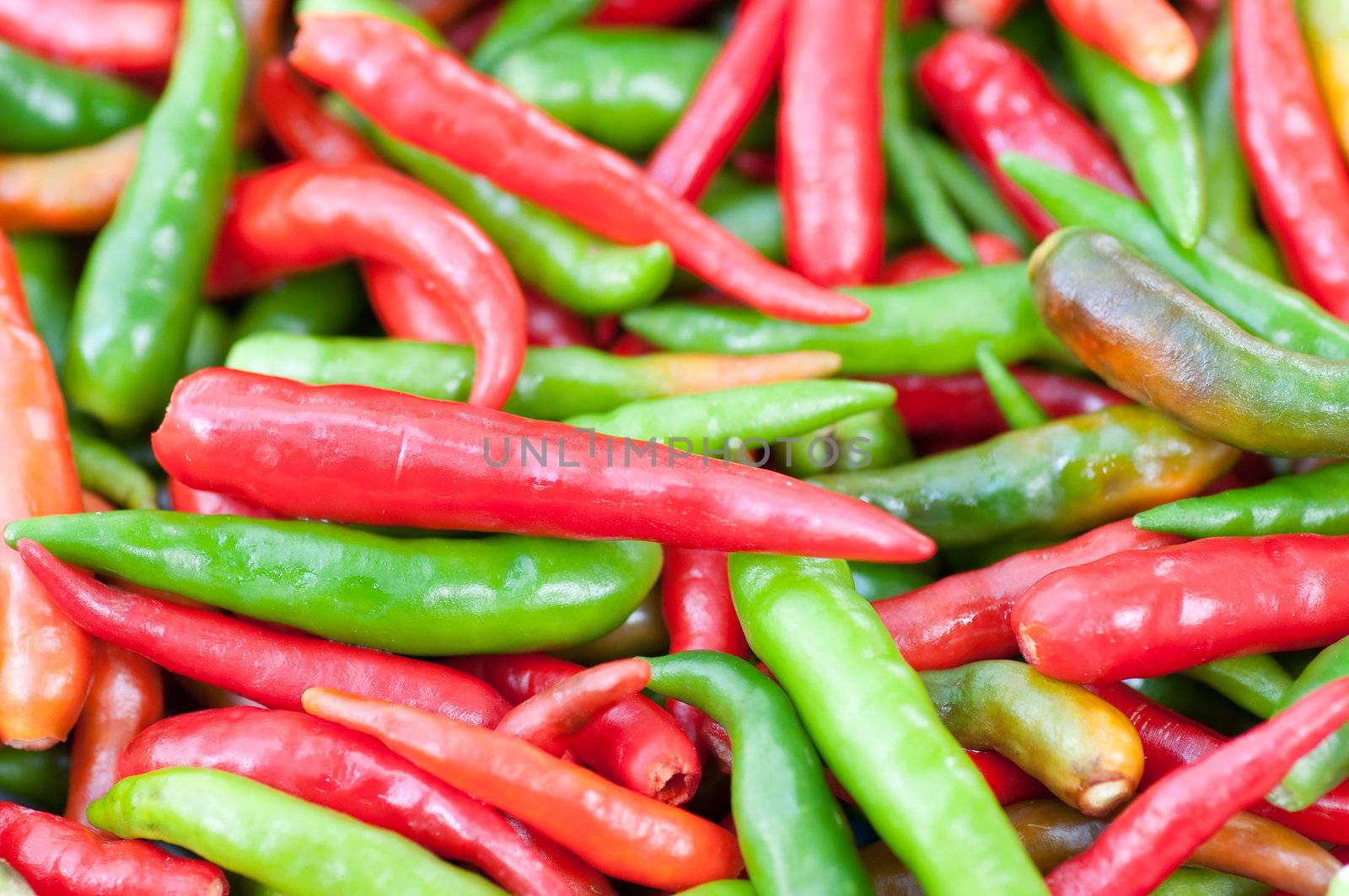 this picture is a group of Chilli