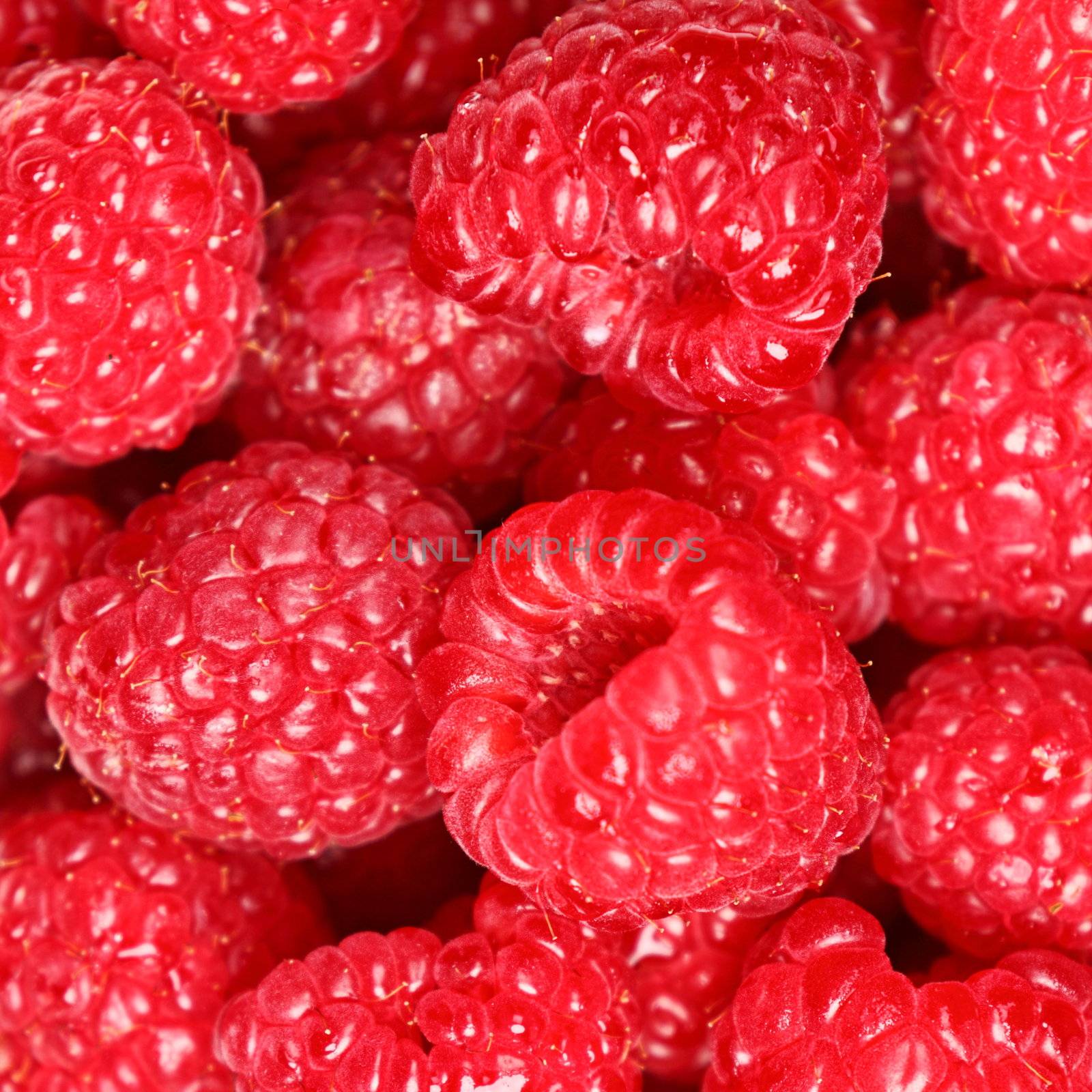 Raspberries - berry background texture by Maridav