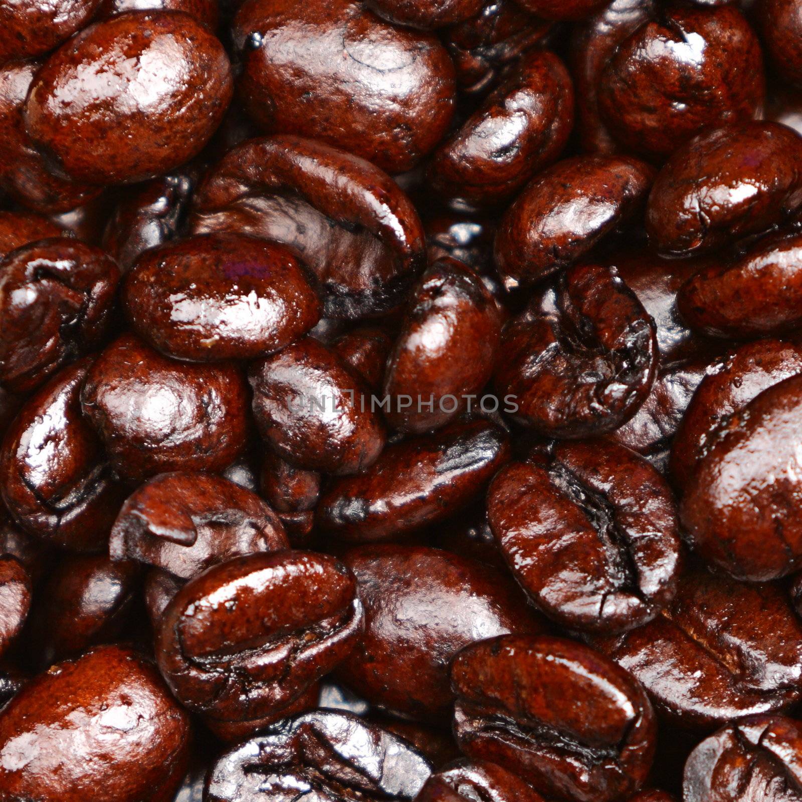 Coffee beans closeup texture background. Dark french roast arabica coffee beans.