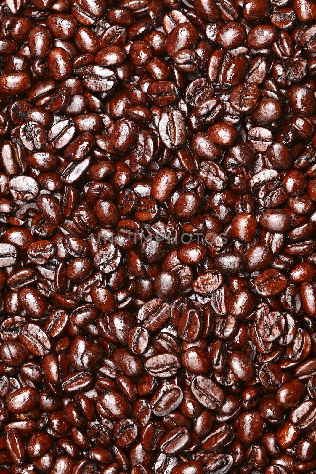 Coffee beans texture by Maridav