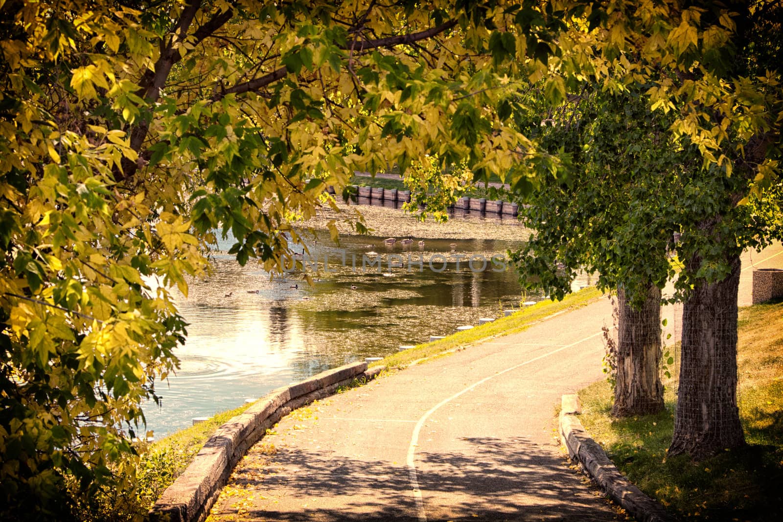 A black and white picture of a walkway running alond side the shores of a small pond