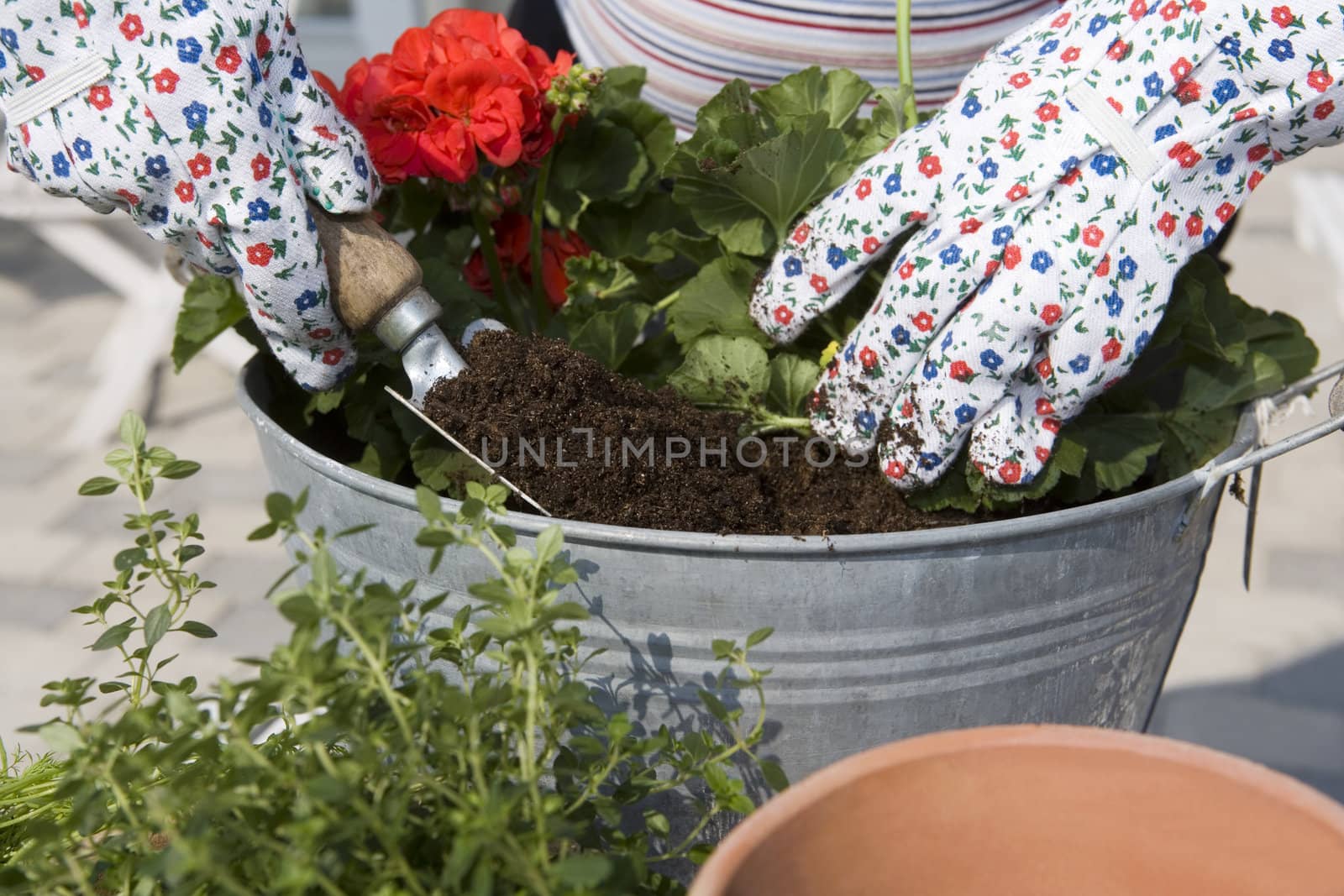 Close up of Gardening Work