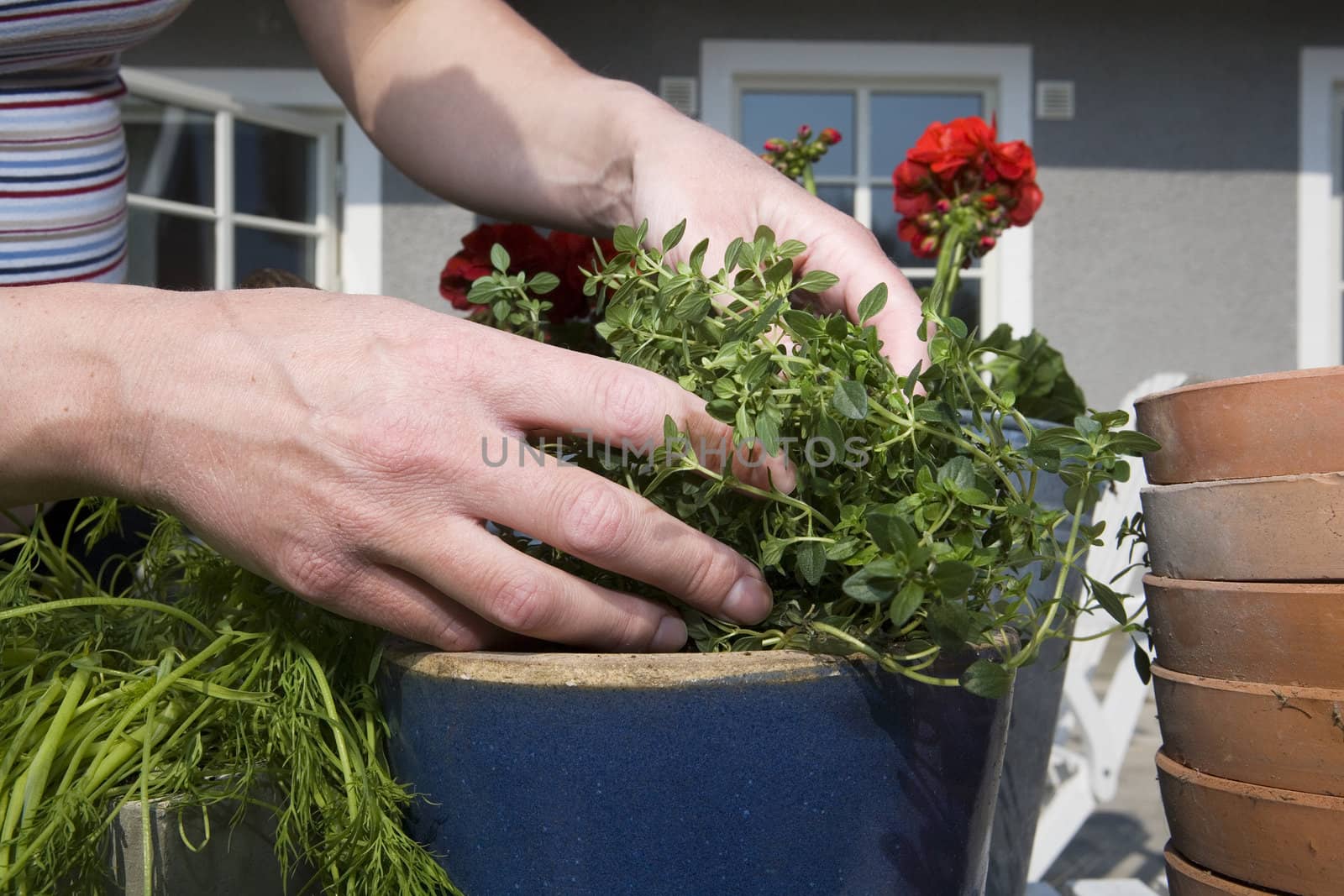 Close up of Gardening Work