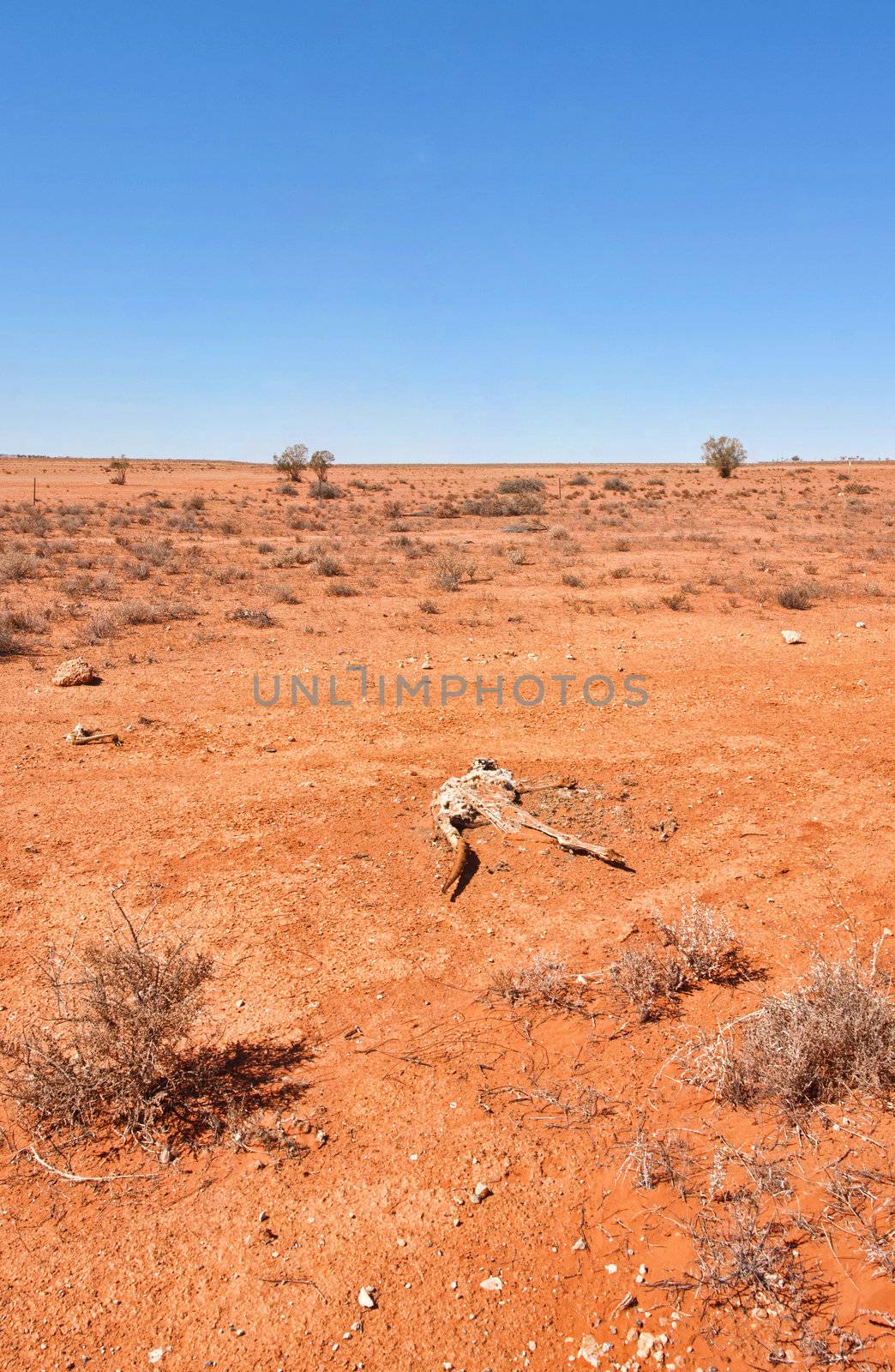 australian red desert outback is dry and barren