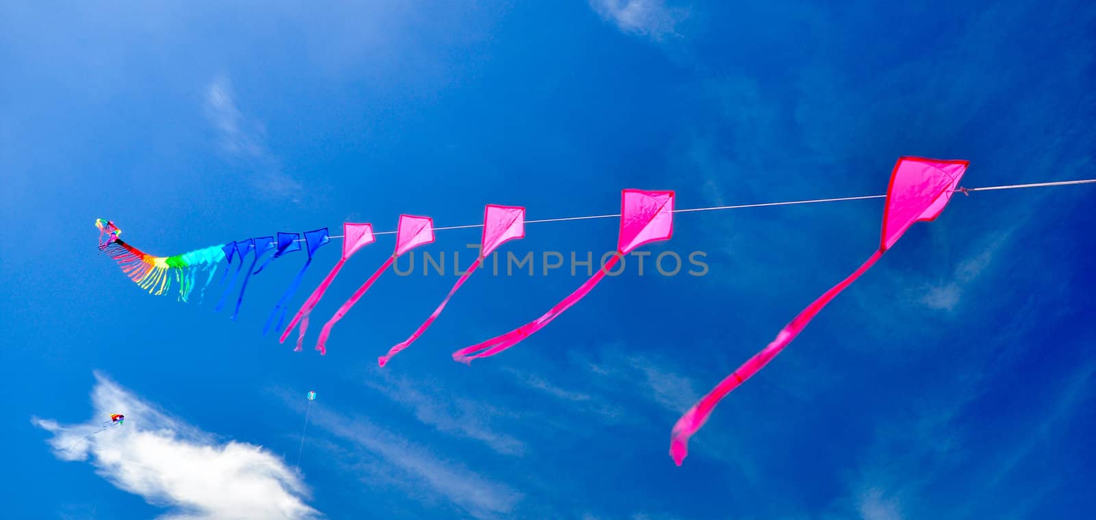 colorful of kites in the blue sky