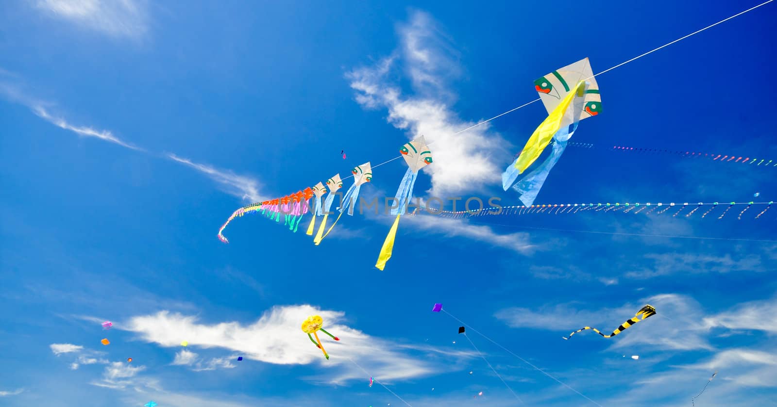 colorful of kites in the blue sky