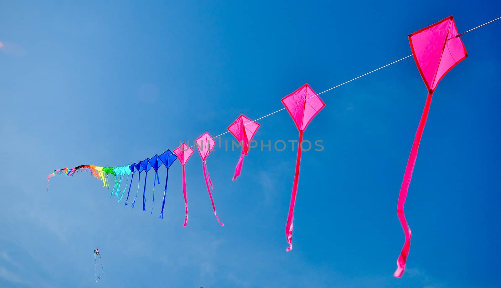 colorful of kites in the blue sky