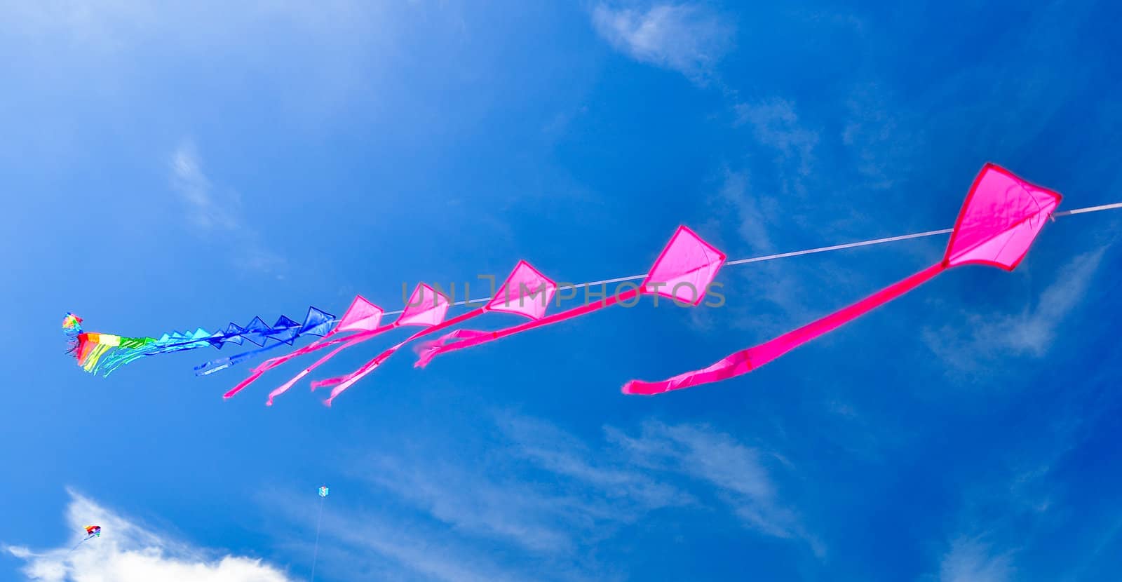 colorful of kites in the blue sky
