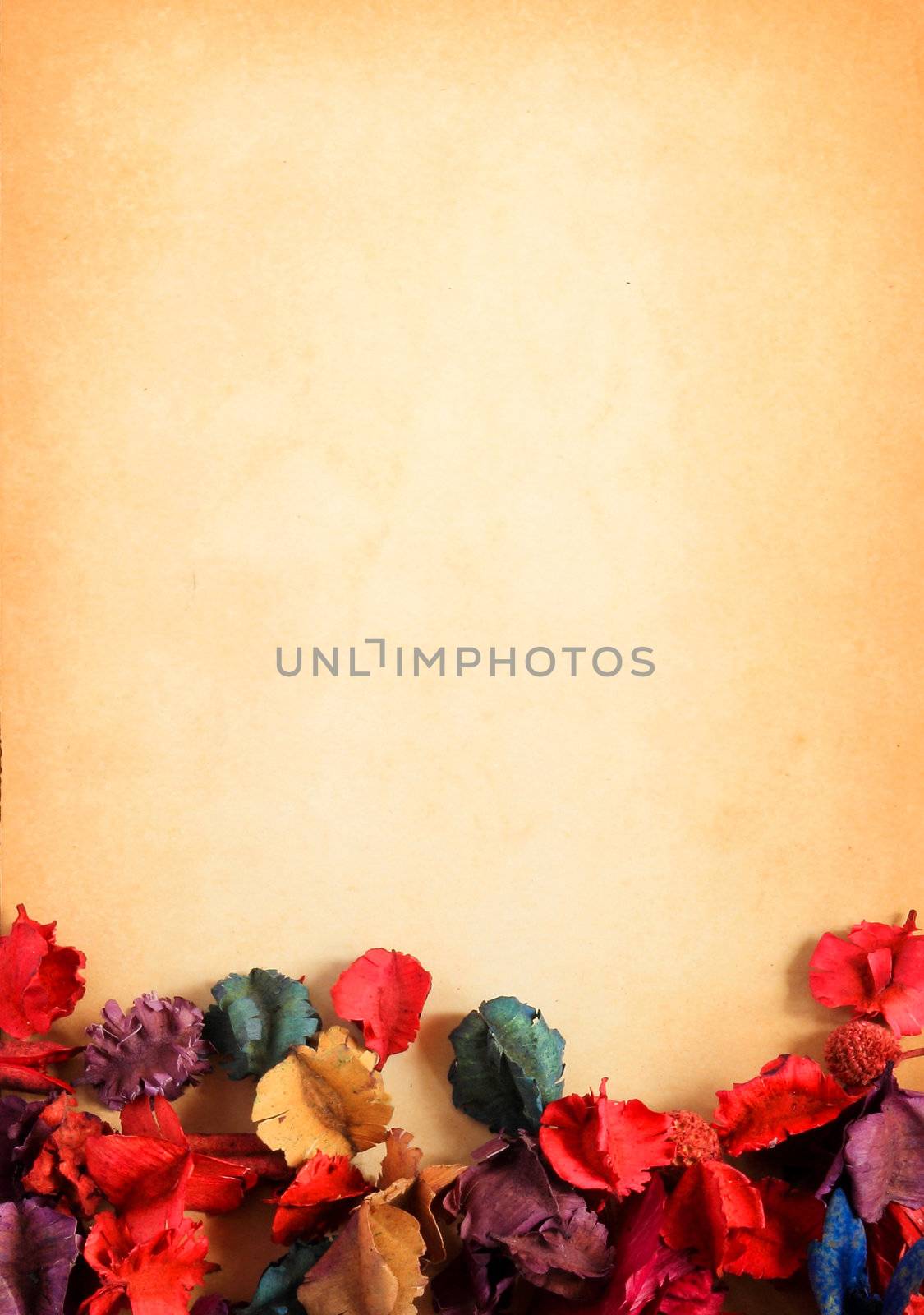 old paper background with dry flower by nuchylee