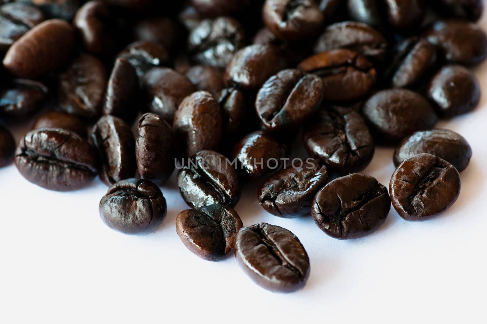 coffee beans on white background 