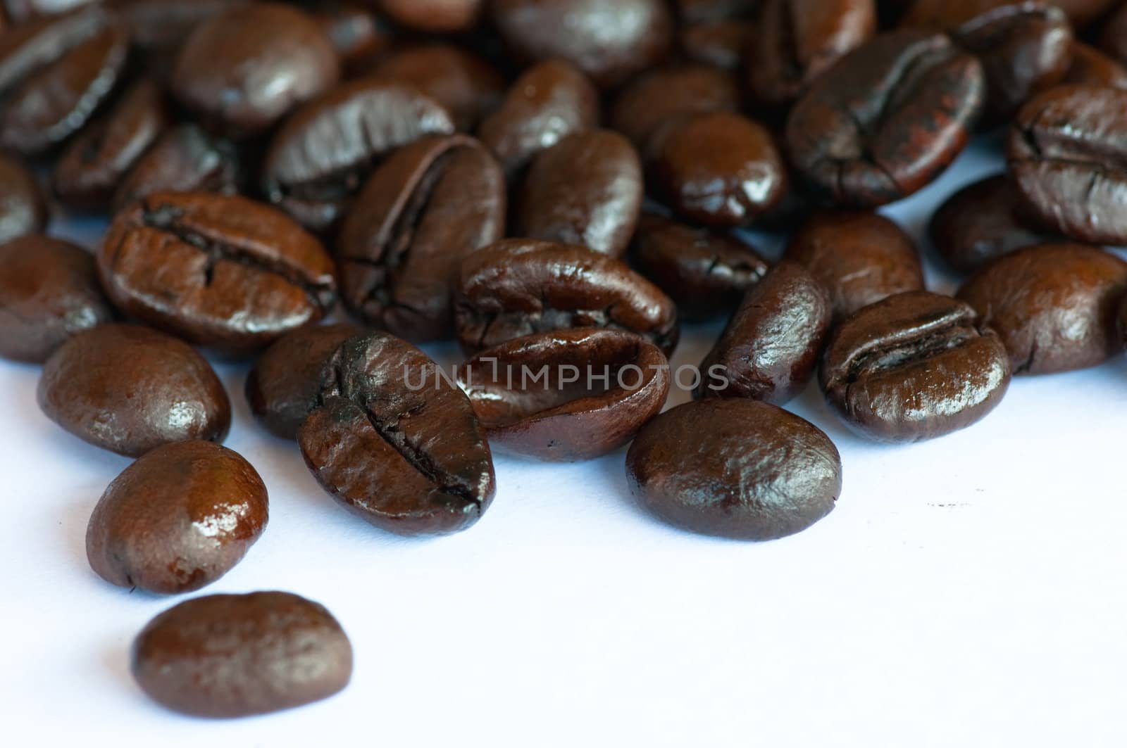 coffee beans on white background 