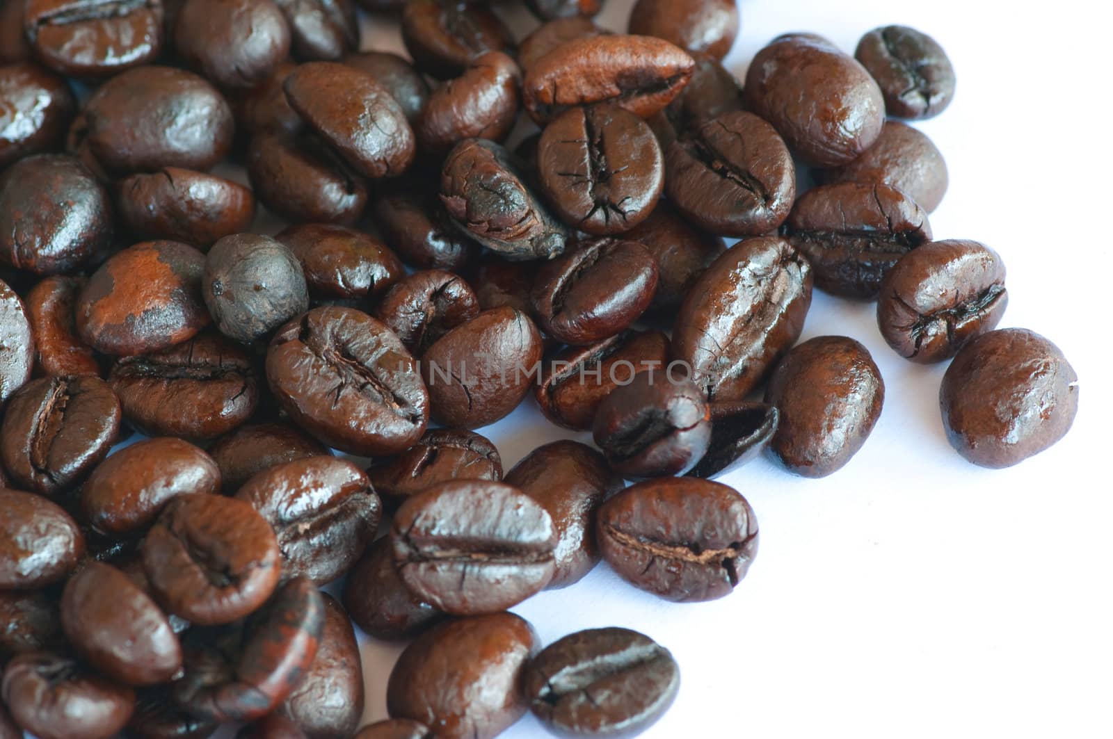 coffee beans on white background 