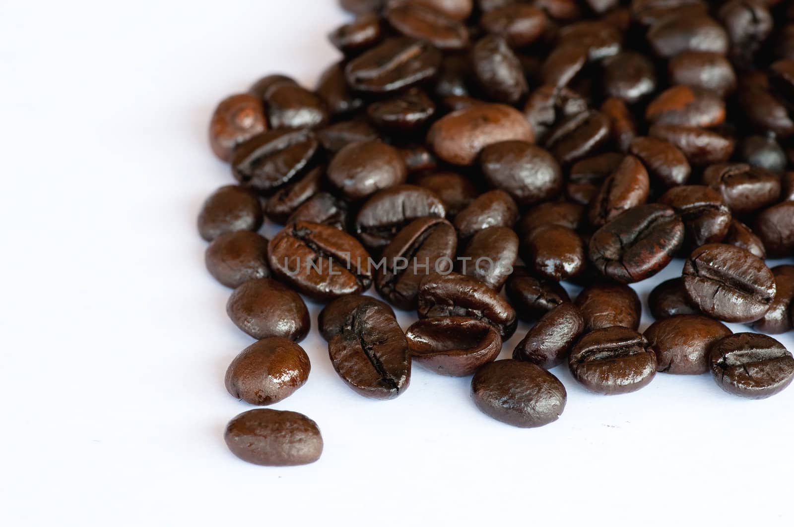 coffee beans on white background 