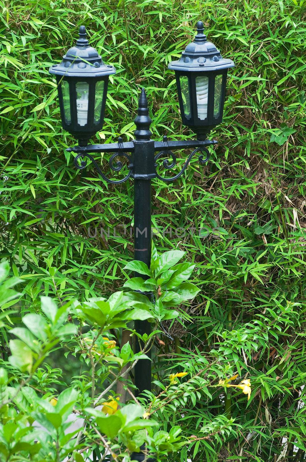 twin Lighting in the garden 