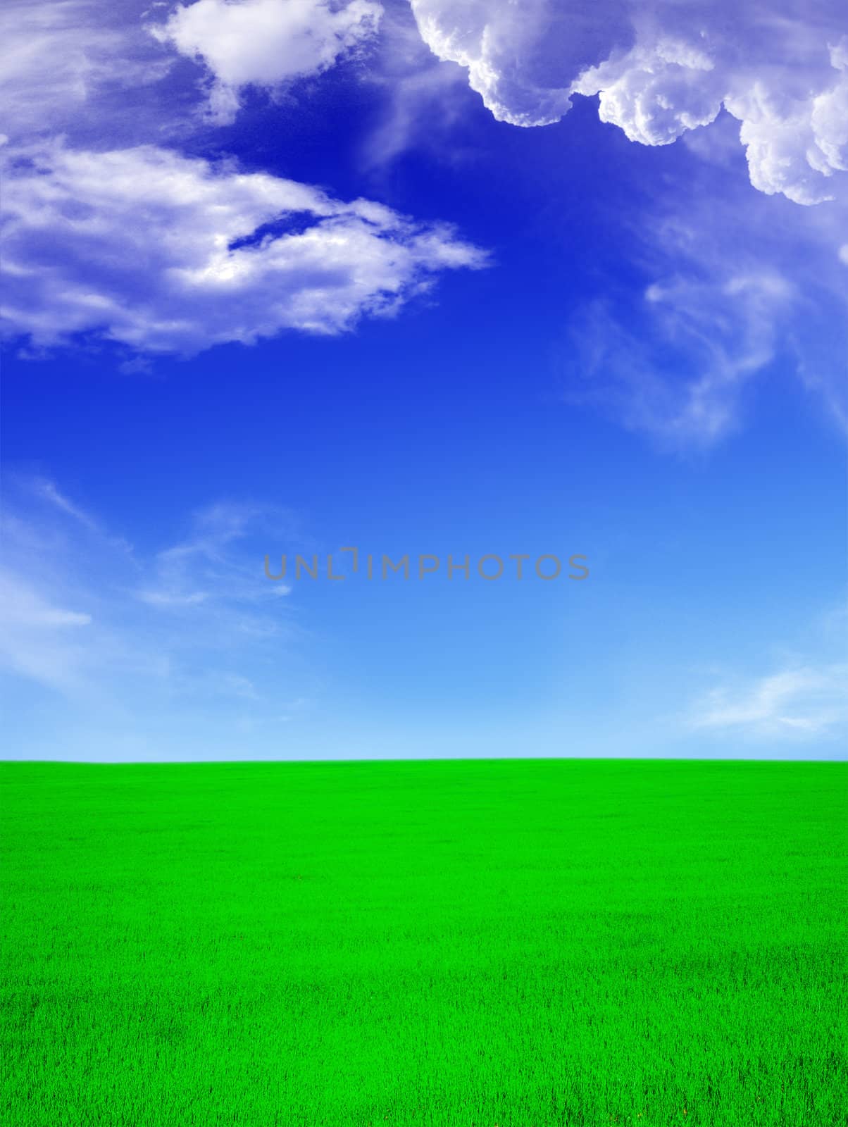 Summer landscape - green field an blue sky