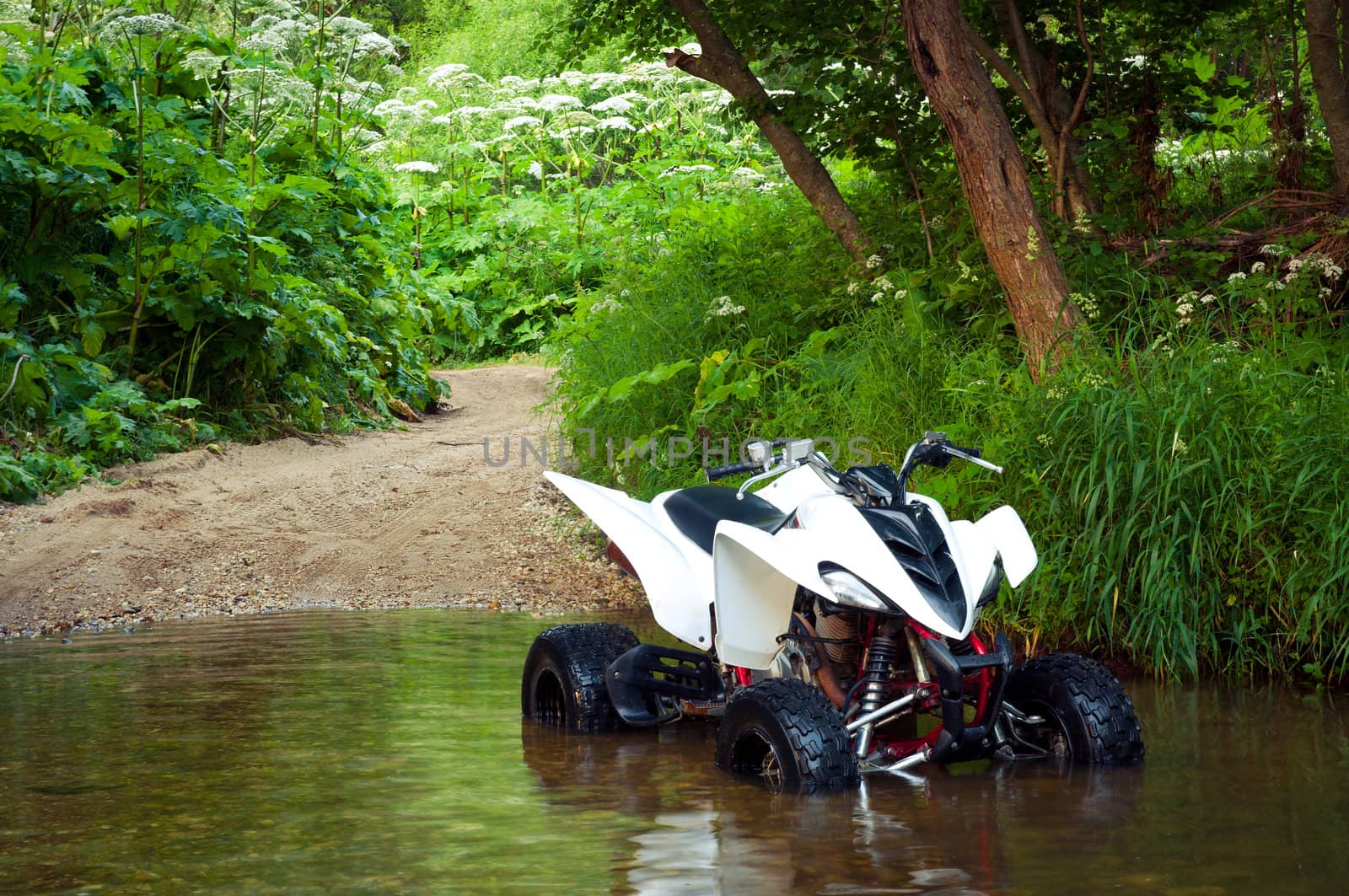 ATV in water by nikolaydenisov