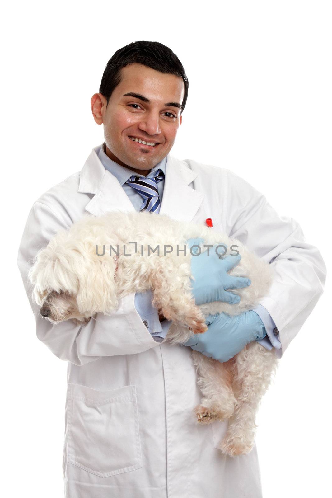 Smiling veterinarian carrying a pet dog in his arms.  White background.