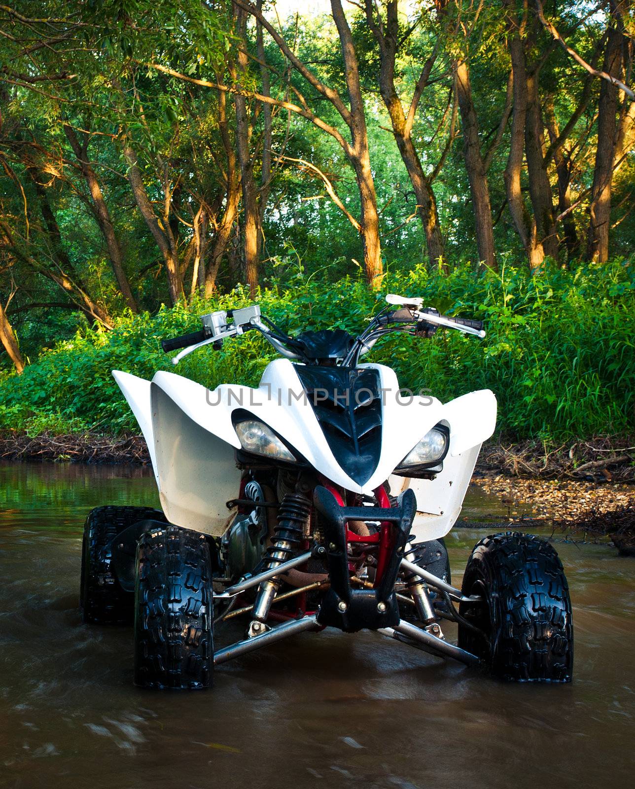 ATV Yamaha Raptor 350 parked in water