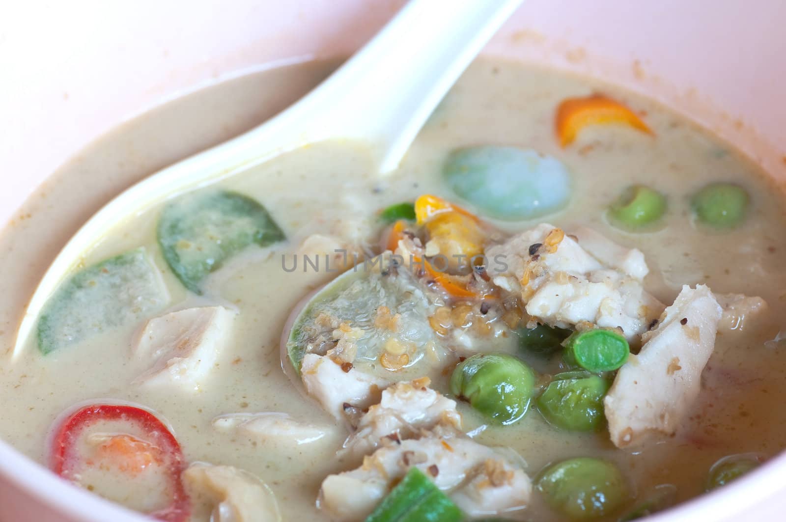 dish of Thai Food, green Curry fish