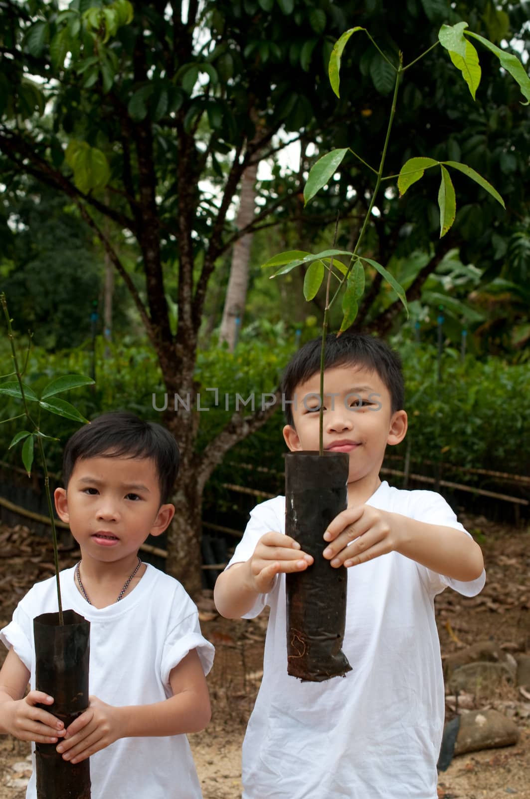 two asian boys are showing them young plant