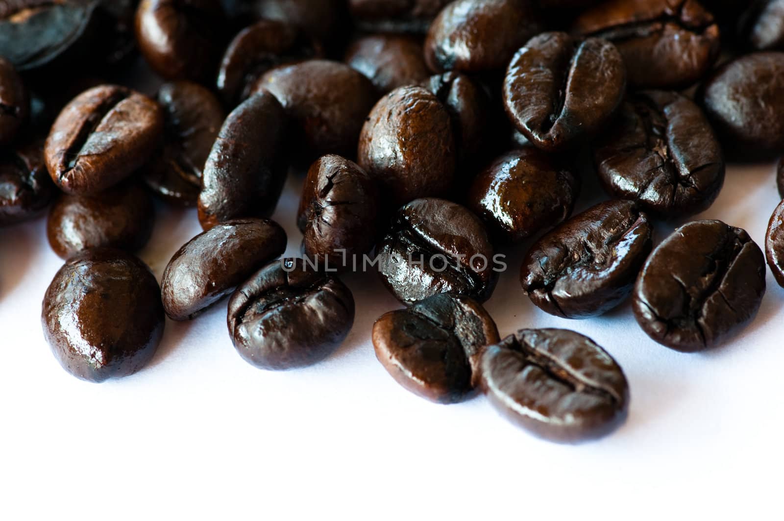 coffee beans on white background 