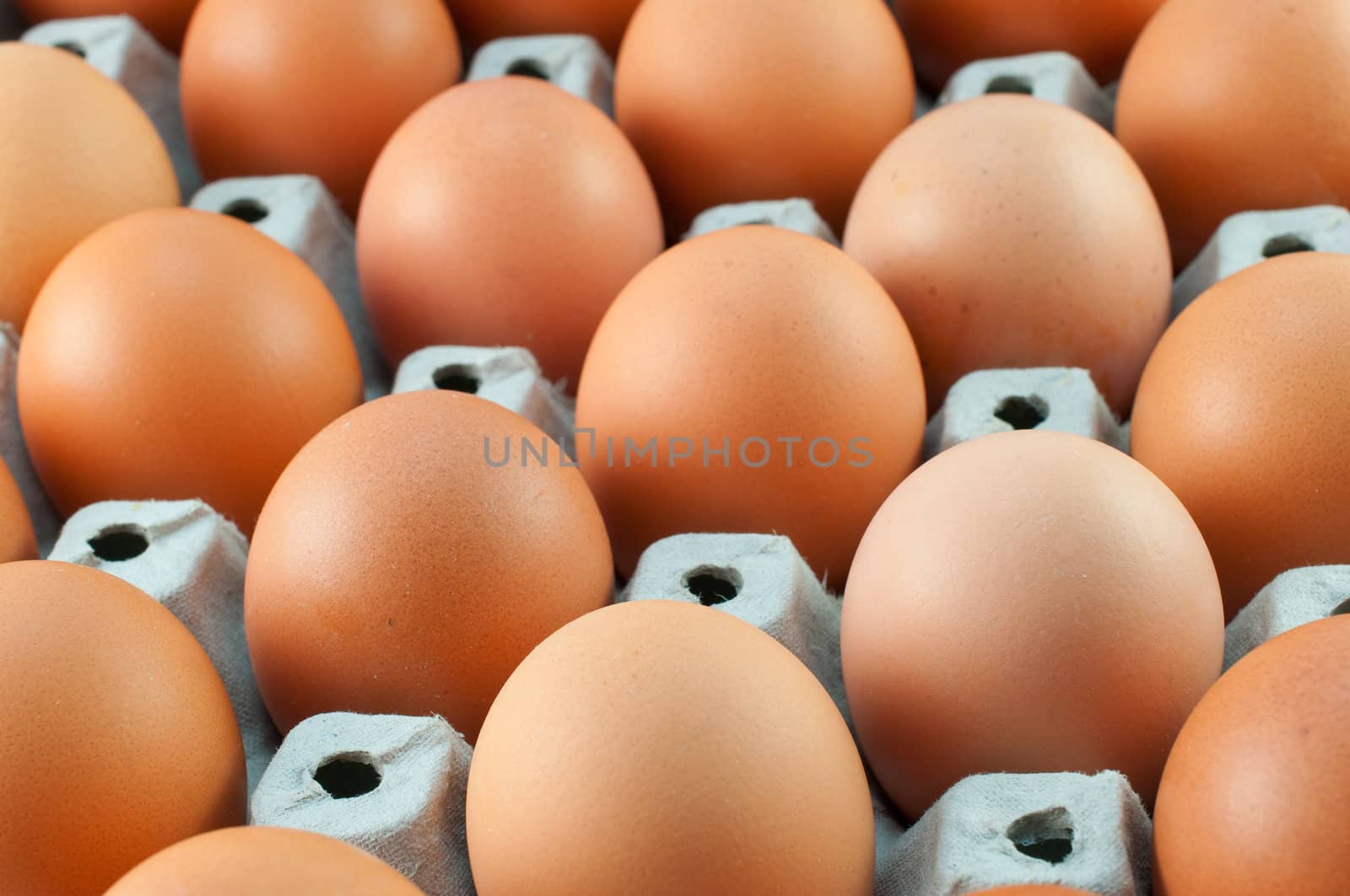 close-up eggs in the package 