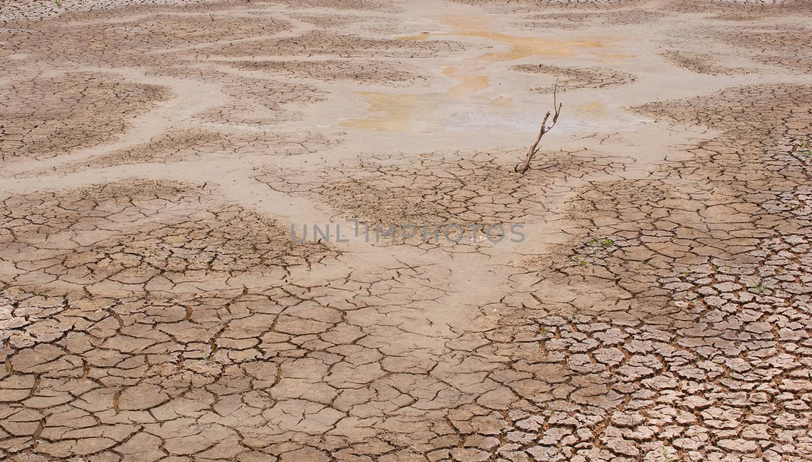 dry earth in the dry season in Thailand