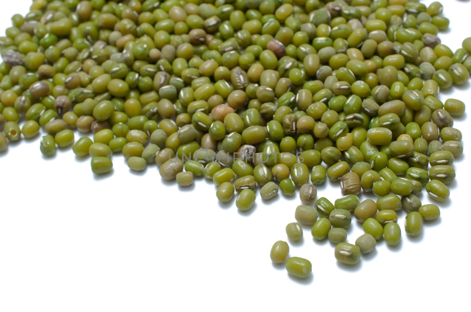 group of green nut on white background