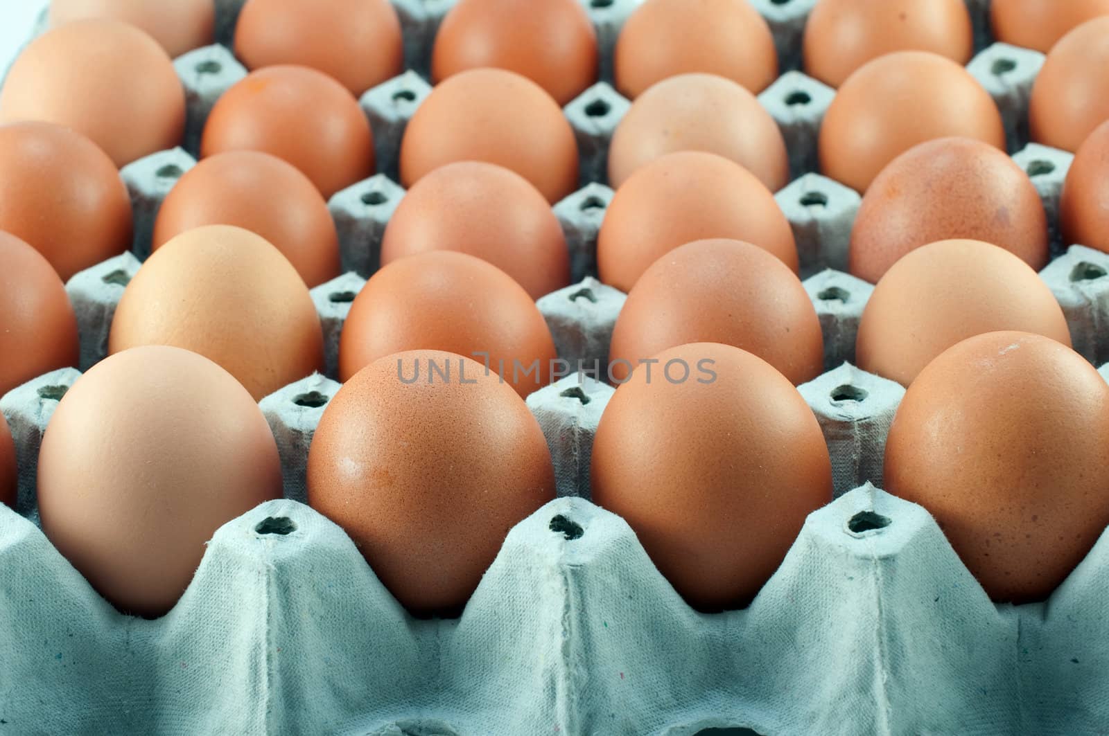 close-up eggs in the package 