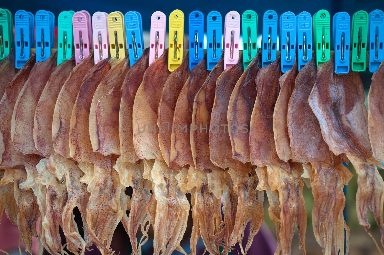 row of dry squid