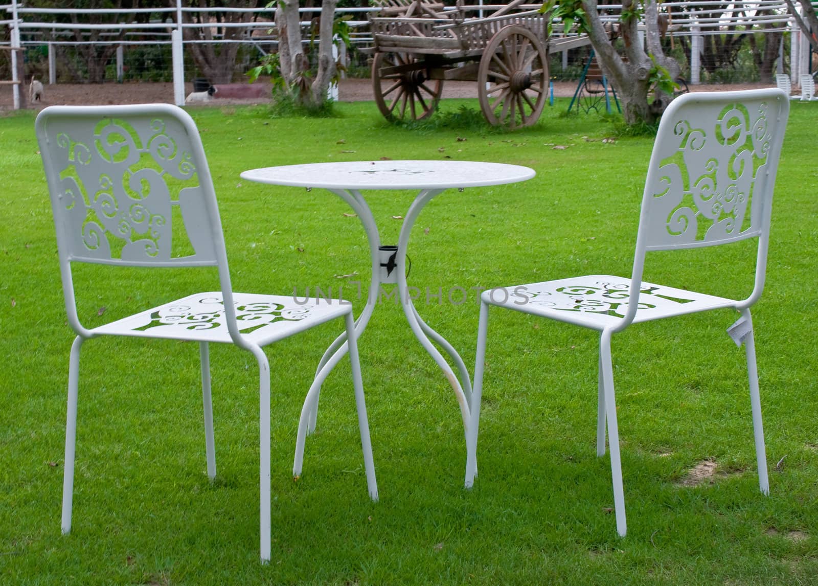 white table and chairs in green lawn
