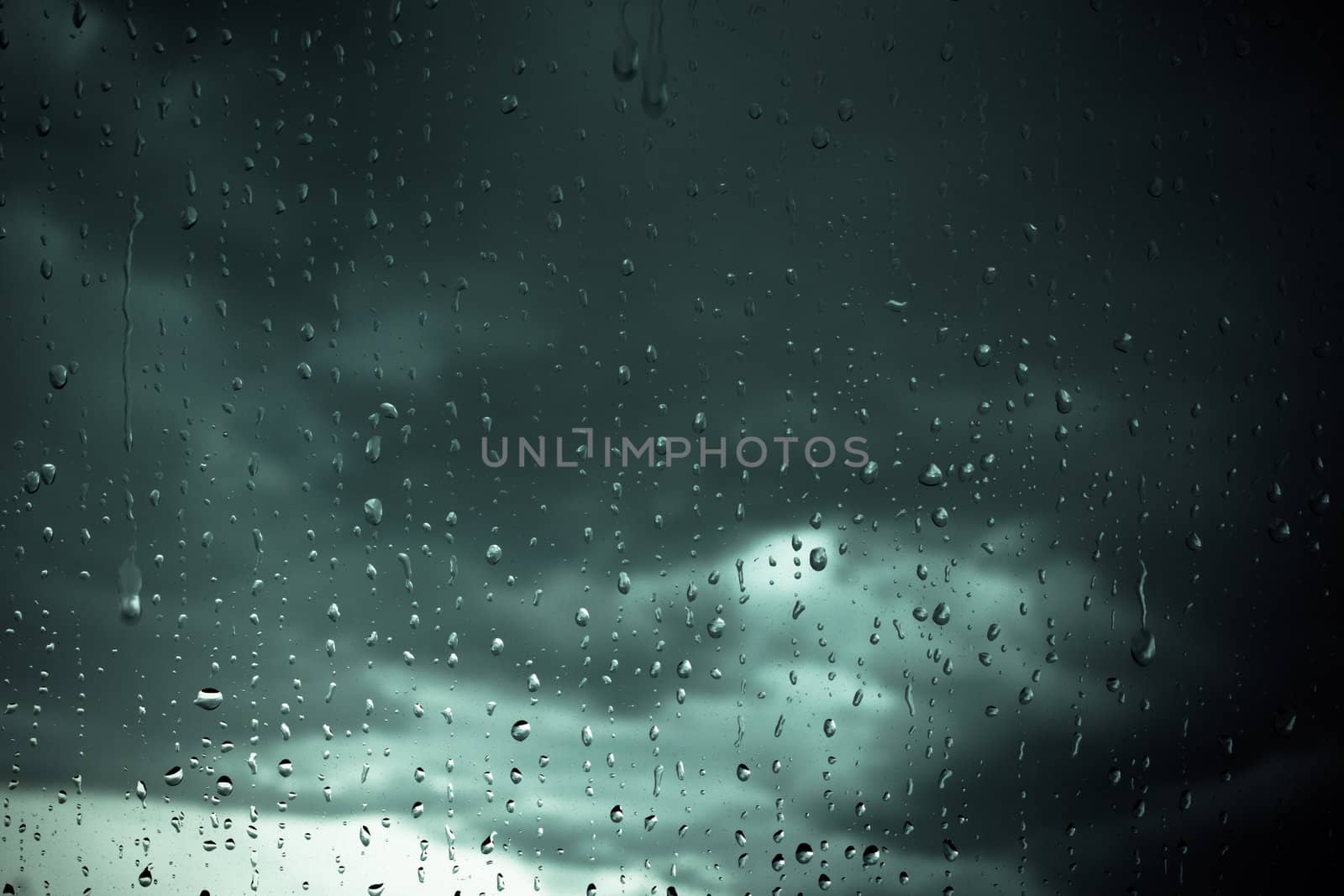 Rain drops on a window, close-up