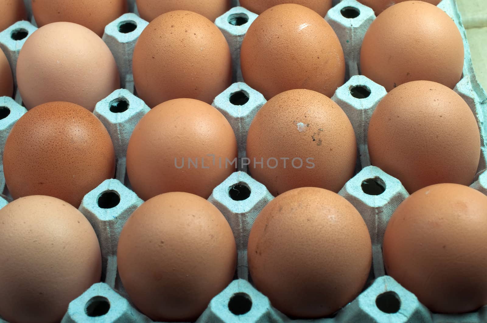 close-up eggs in the package 