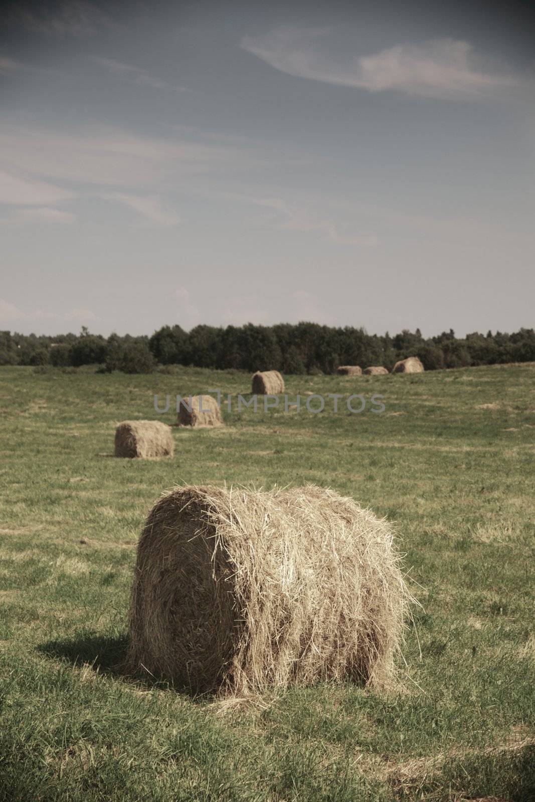Rolling haystack on summer field by Yellowj