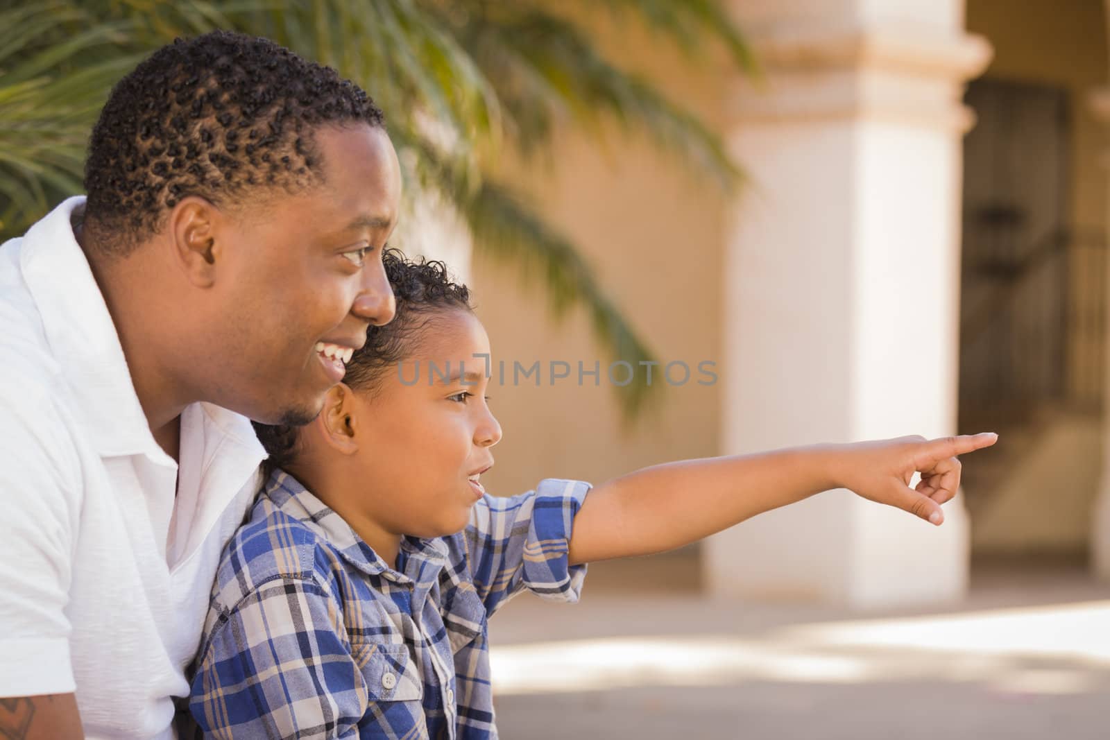 Happy African American Father and Mixed Race Son Pointing in the Park.