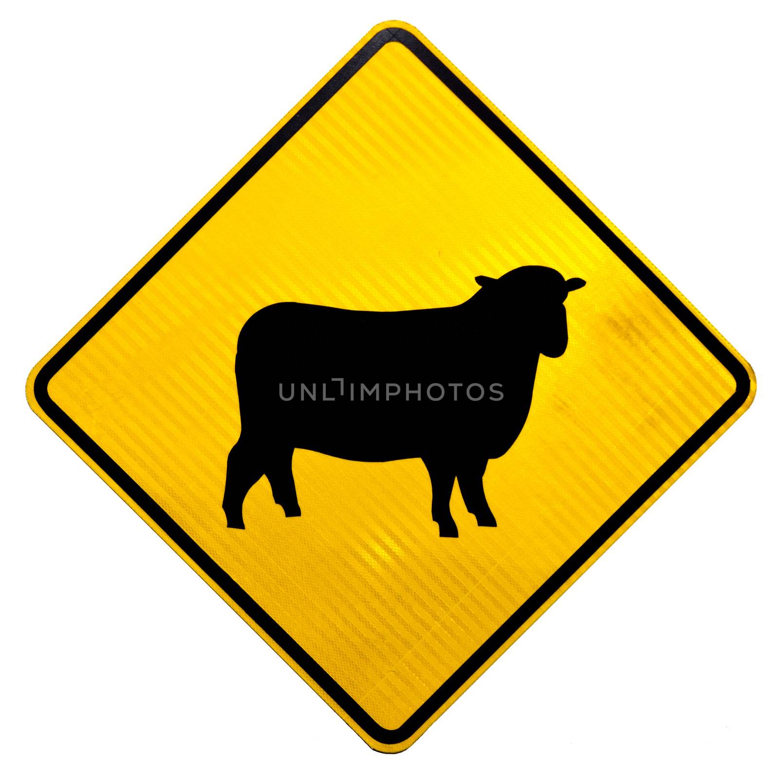 New Zealand Road Sign, Attention Sheep Crossing Road isolated on white background