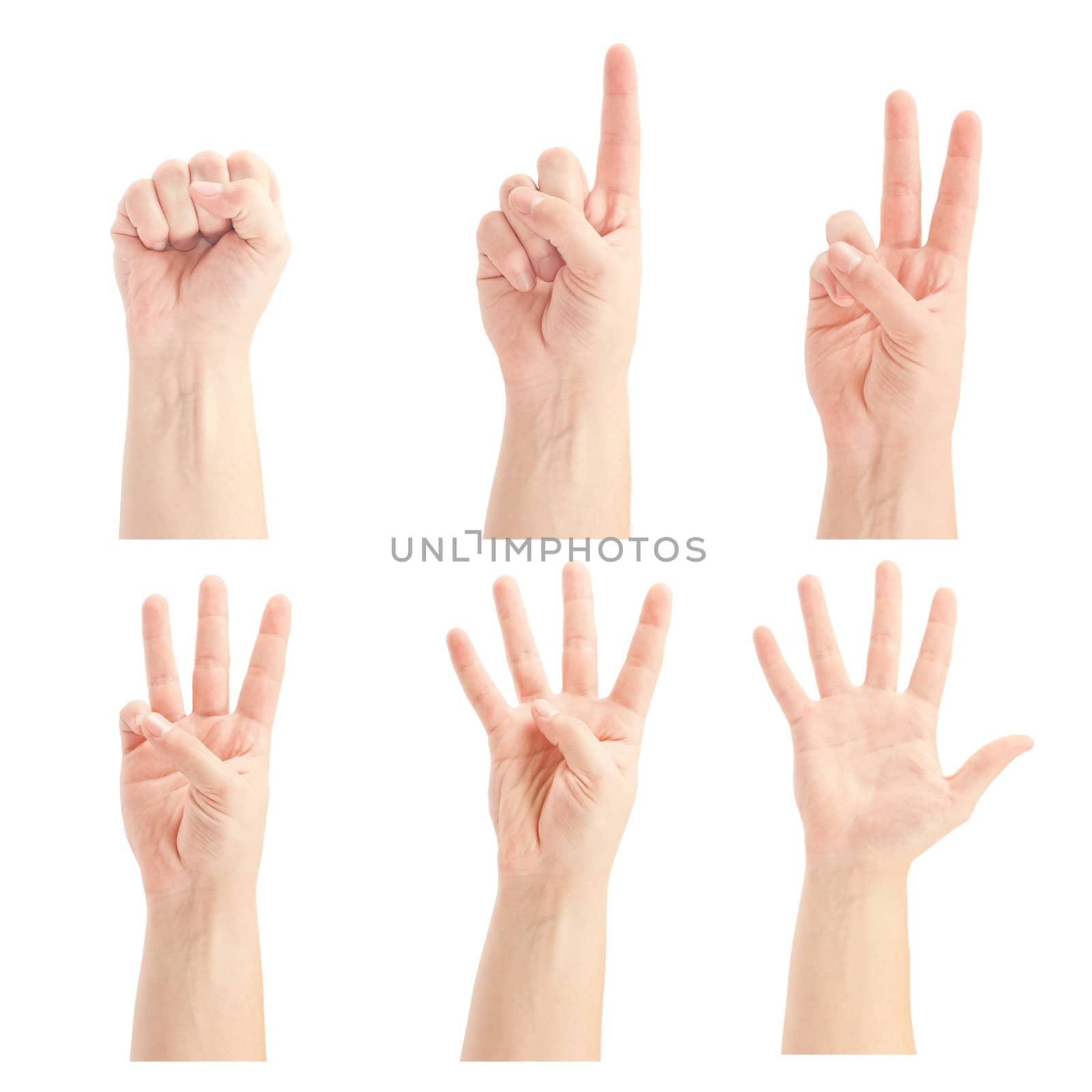 Counting man hands (0 to 5) isolated on white background