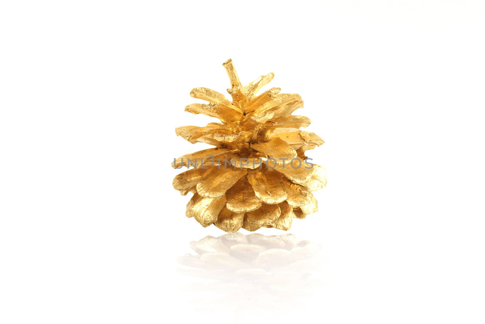 christmas gold bump isolated on white