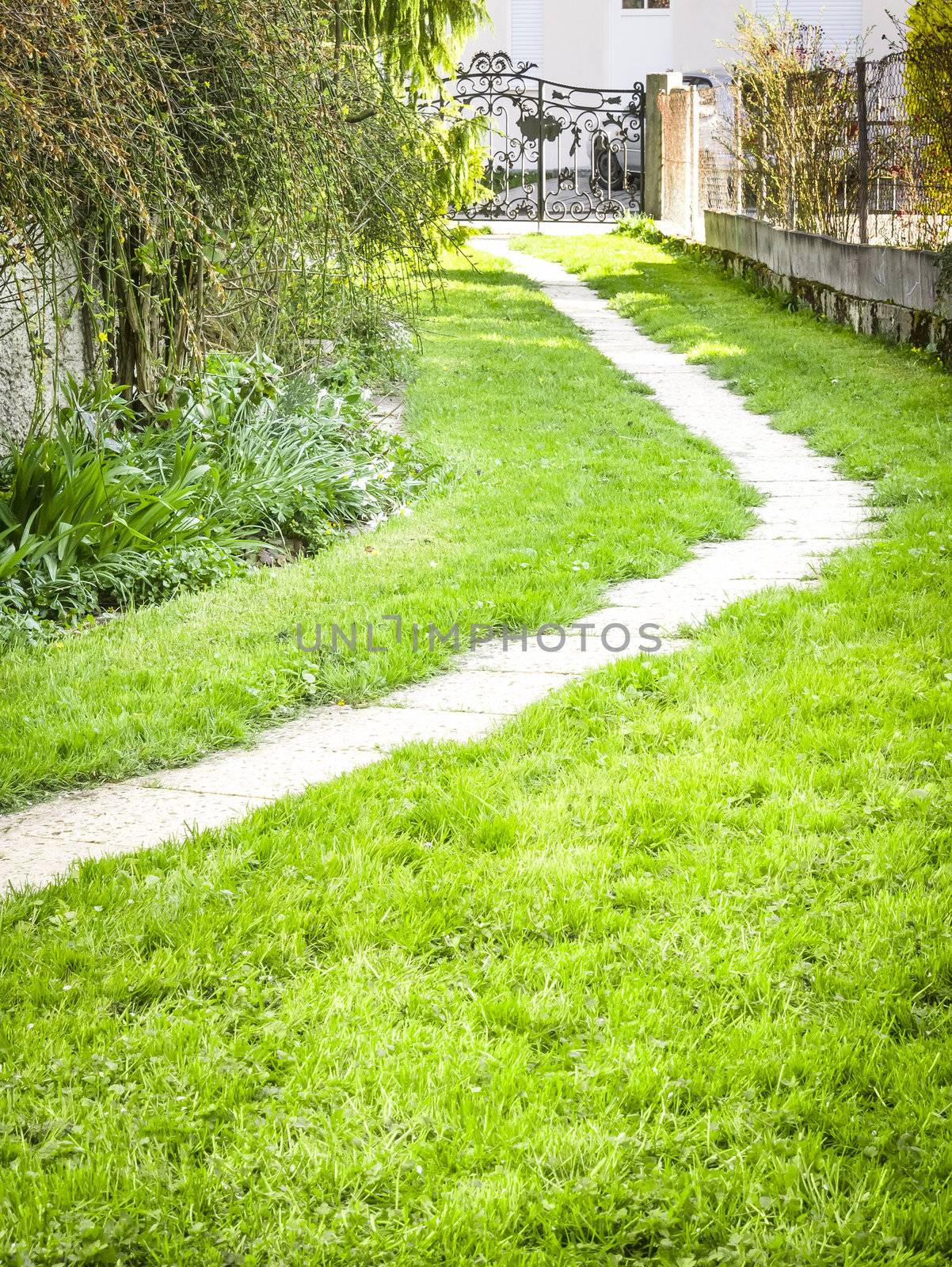 An image of a path in the garden