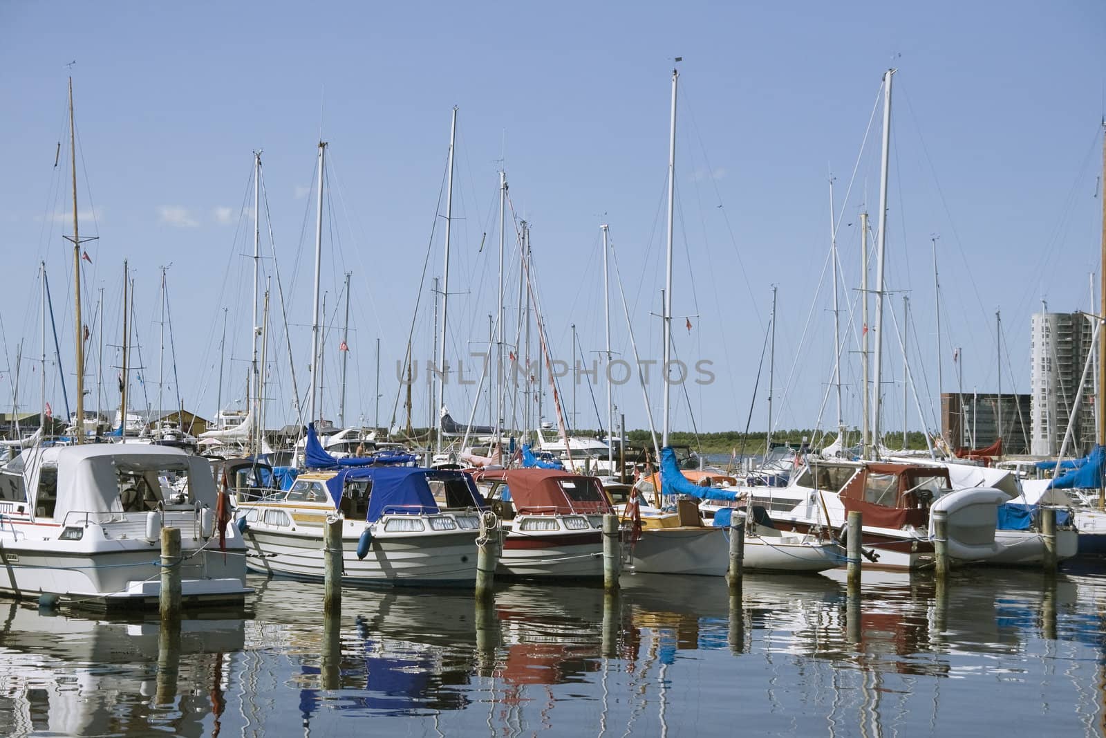 Small yachts in a harbour in a sunny day