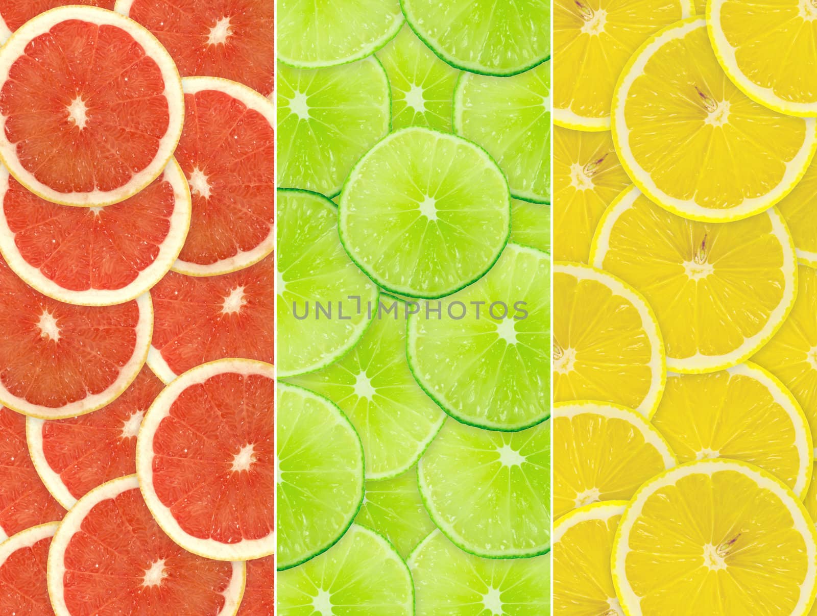 Abstract background of citrus slices. Closeup. Studio photography.