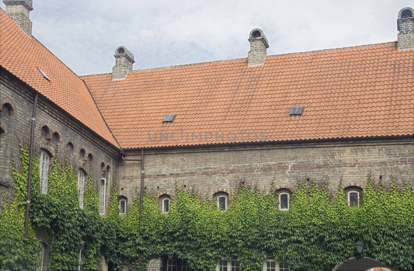 Walls of an old monastery covered with ivy