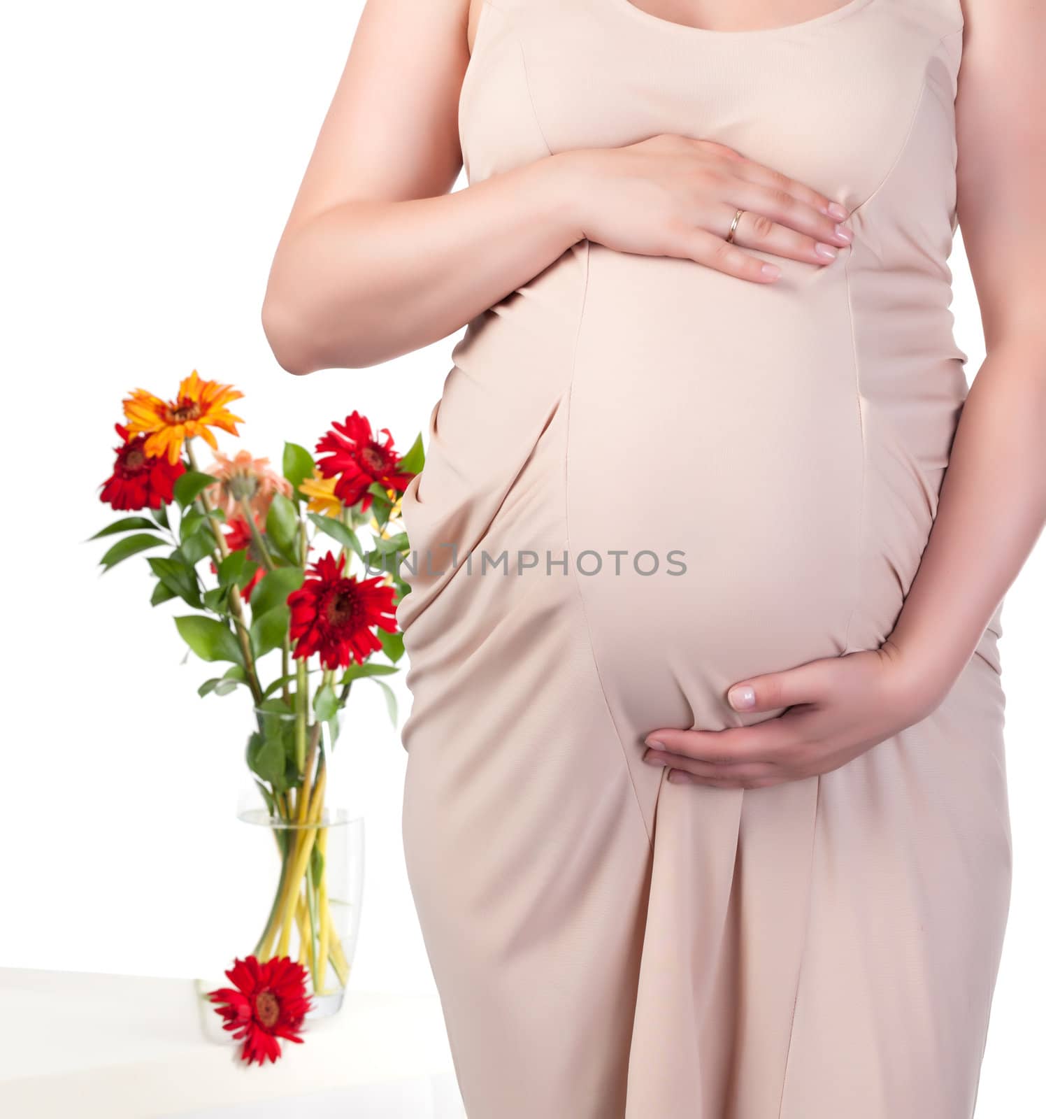 Pregnant Woman with Flowers by Discovod