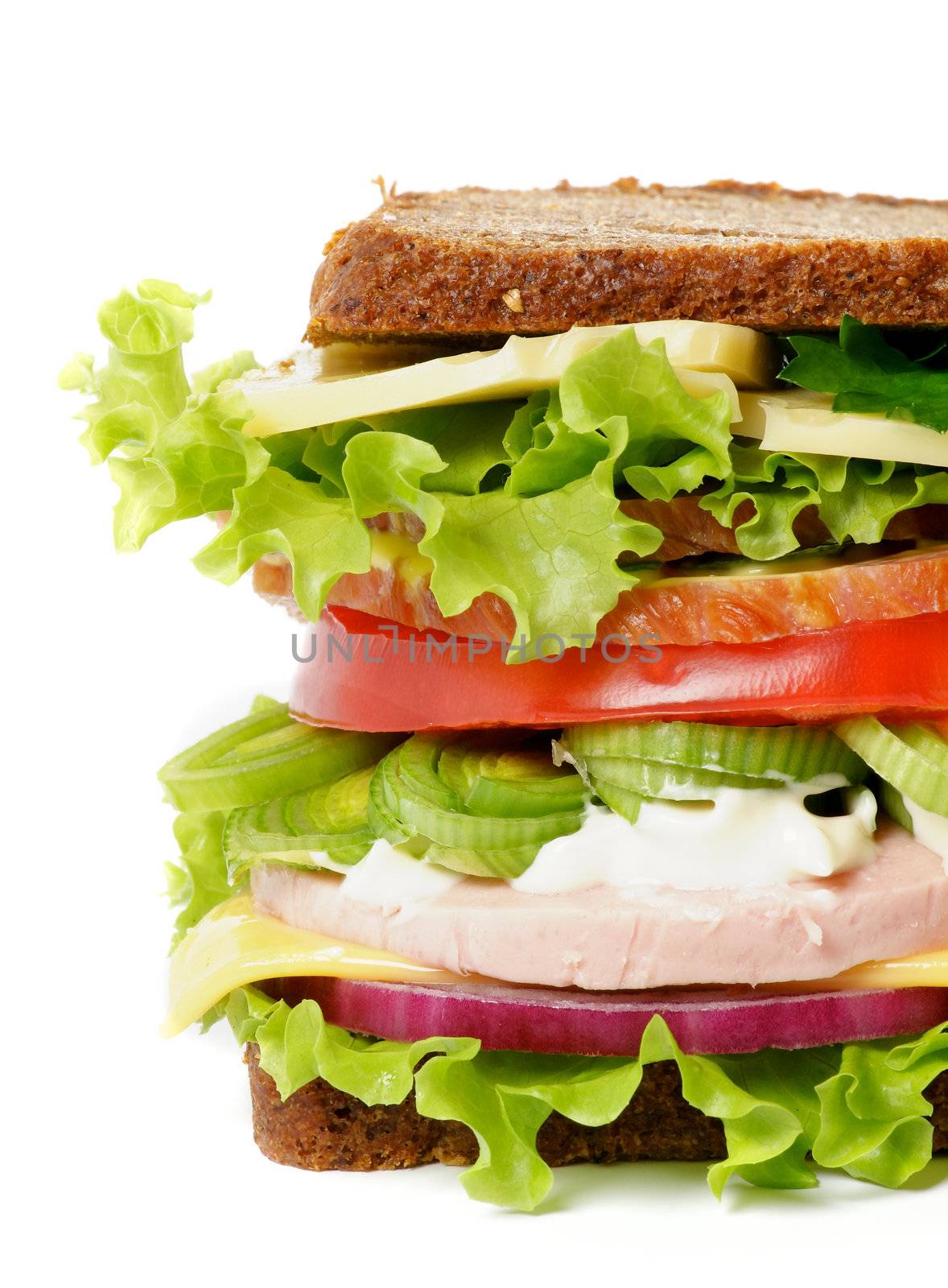 Tasty Lunch Sandwich with Bacon, Lettuce, Tomato, Cheese and Greens close up isolated on white background