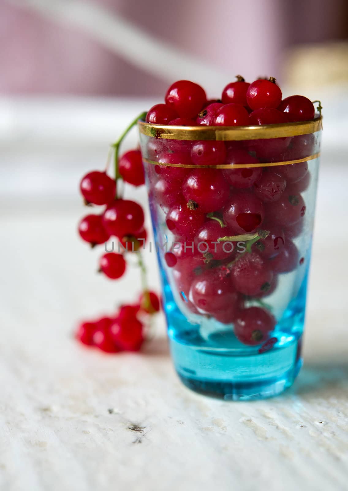 Glass full of Cranberries stands on a white table against blurry background. Shallow DOF