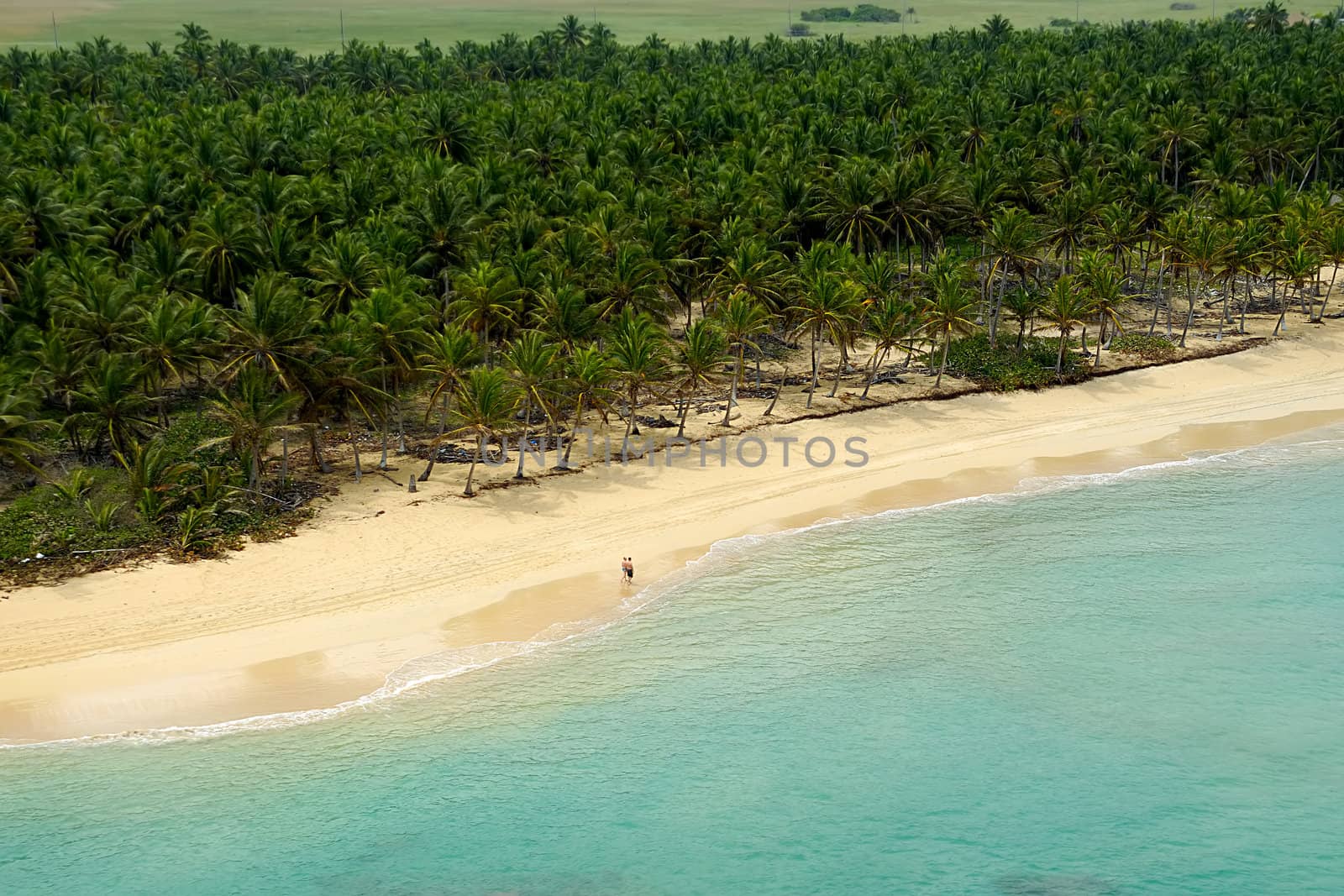 Empty beach seen from above. The dominican republic.