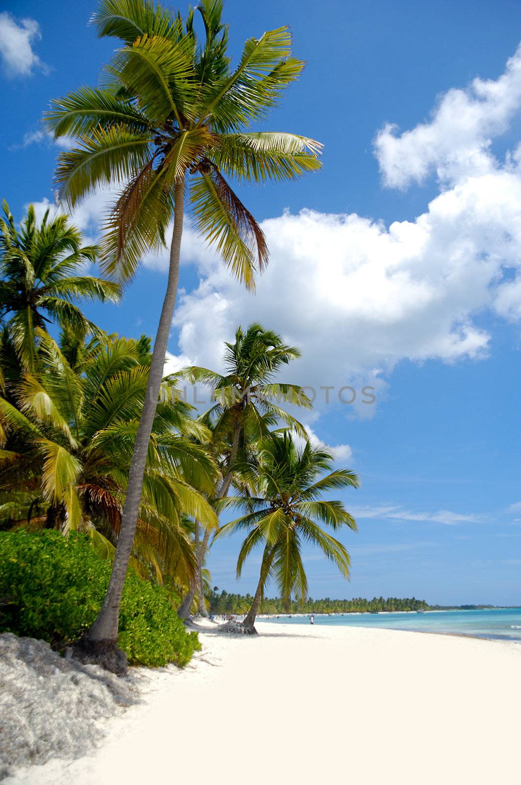 Beach with white sand. Dominican Republic.