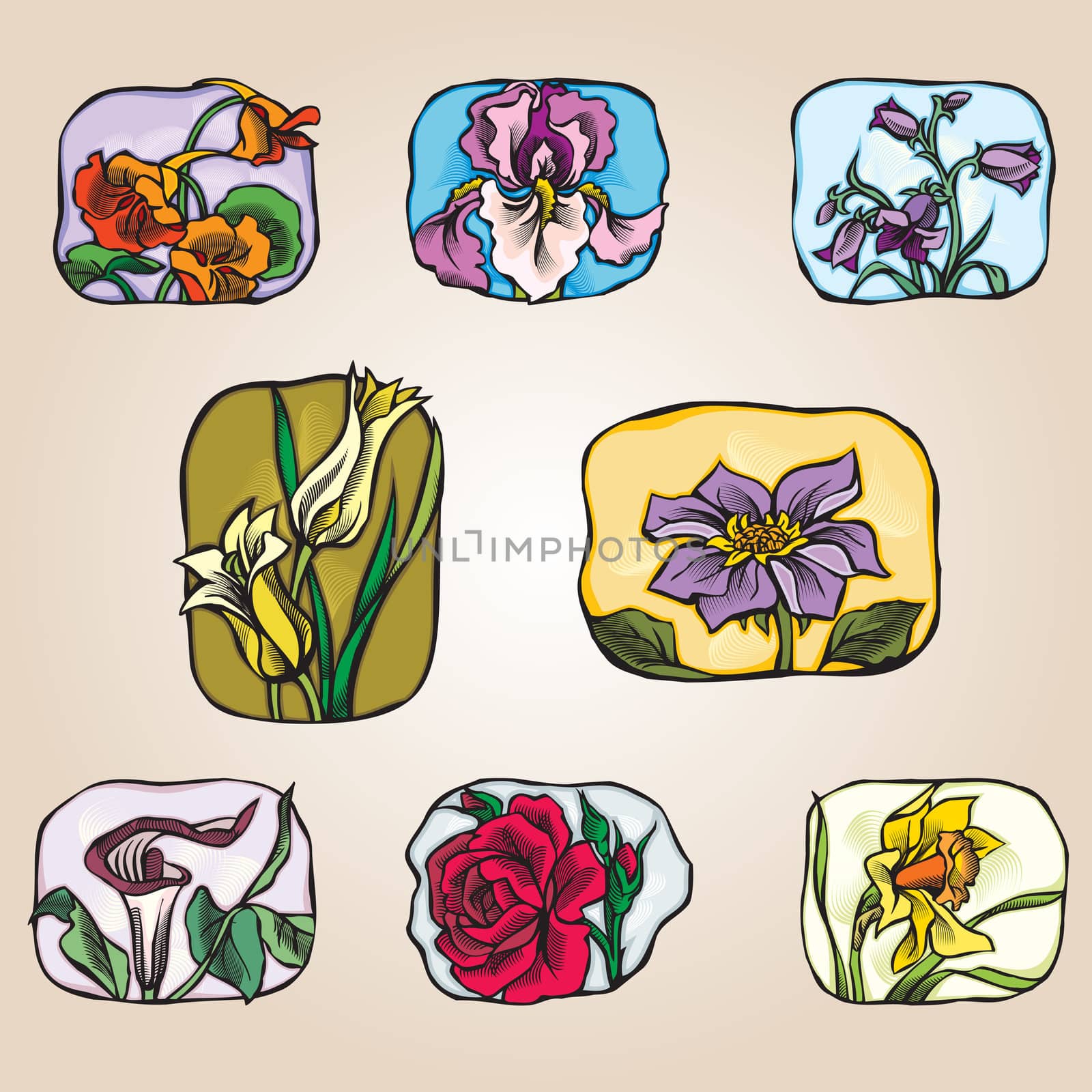set of icons flowers by Medweddula