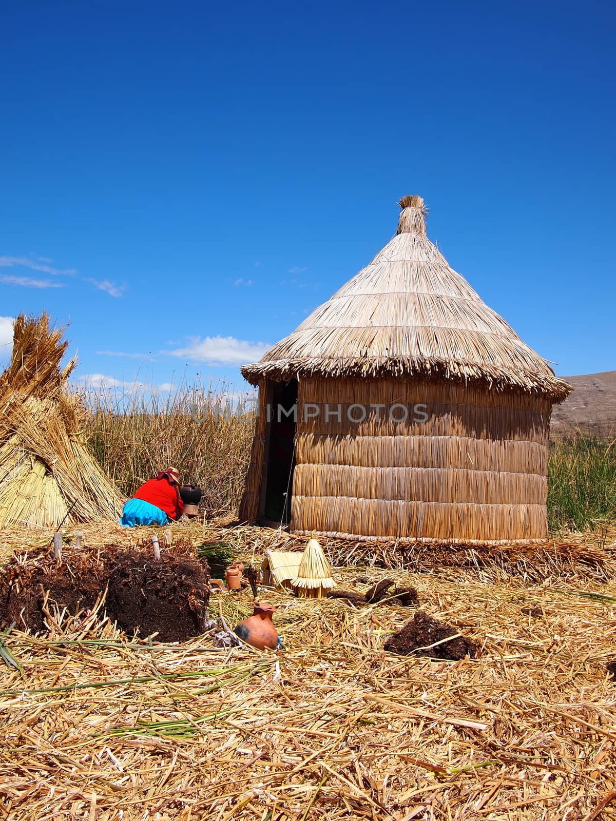 Reed hut on the floating Uros islands by pljvv